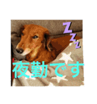 るいの1日（個別スタンプ：33）