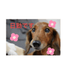 るいの1日（個別スタンプ：35）