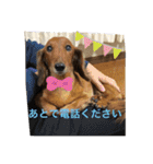 るいの1日（個別スタンプ：36）