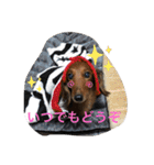るいの1日（個別スタンプ：38）