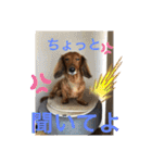 るいの1日（個別スタンプ：39）