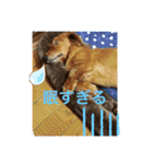 るいの1日（個別スタンプ：40）