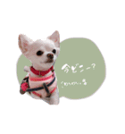ゆひのちゃん（個別スタンプ：6）