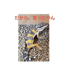 レオパードとニシアフリカ（個別スタンプ：8）