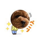 可愛いまろんくんのスタンプ（個別スタンプ：6）
