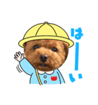 可愛いまろんくんのスタンプ（個別スタンプ：7）
