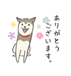 犬のおハルさん（個別スタンプ：1）