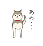 犬のおハルさん（個別スタンプ：5）