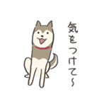 犬のおハルさん（個別スタンプ：15）