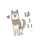 犬のおハルさん（個別スタンプ：19）