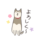 犬のおハルさん（個別スタンプ：20）