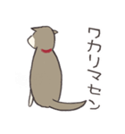 犬のおハルさん（個別スタンプ：21）