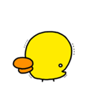 kapyのヒヨコ（個別スタンプ：4）