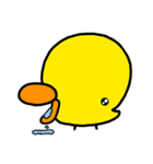 kapyのヒヨコ（個別スタンプ：12）