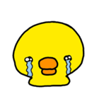 kapyのヒヨコ（個別スタンプ：16）