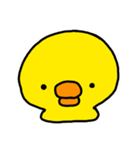 kapyのヒヨコ（個別スタンプ：17）