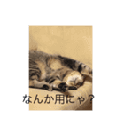 ミミの日記（個別スタンプ：3）