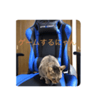 ミミの日記（個別スタンプ：5）