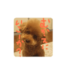 トイプー☆まろこ（個別スタンプ：7）