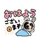 パピヨンのぼくちゃん日常スタンプ★（個別スタンプ：6）