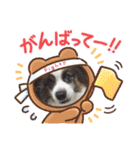 パピヨンのぼくちゃん日常スタンプ★（個別スタンプ：9）
