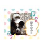 パピヨンのぼくちゃん日常スタンプ★（個別スタンプ：14）