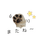 ラブペキニーズ（個別スタンプ：4）