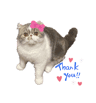 ♡エキゾのリロくん♡（個別スタンプ：1）