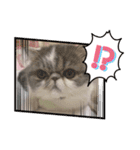 ♡エキゾのリロくん♡（個別スタンプ：12）