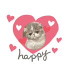 ♡エキゾのリロくん♡（個別スタンプ：14）