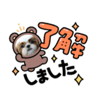 シーズー犬☆みるきー.1（個別スタンプ：4）