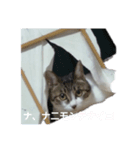しおん＆こはる（個別スタンプ：1）