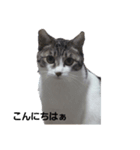 しおん＆こはる（個別スタンプ：3）