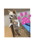 暴れん坊レオ（個別スタンプ：5）
