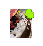 暴れん坊レオ（個別スタンプ：8）