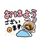 トイプードルcomugi（個別スタンプ：1）