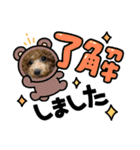 トイプードルcomugi（個別スタンプ：5）
