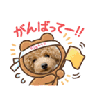トイプードルcomugi（個別スタンプ：6）