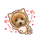 トイプードルcomugi（個別スタンプ：7）