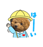 トイプードルcomugi（個別スタンプ：17）