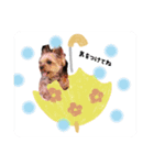 やまじfamily（個別スタンプ：14）
