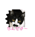 Nyan kids（個別スタンプ：3）