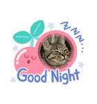 Nyan kids（個別スタンプ：5）