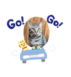 Nyan kids（個別スタンプ：6）