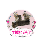 Nyan kids（個別スタンプ：7）