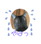 Nyan kids（個別スタンプ：9）