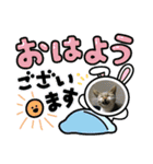 Nyan kids（個別スタンプ：12）