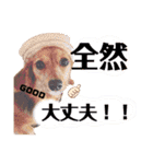 チワックスのまめ2段（個別スタンプ：37）