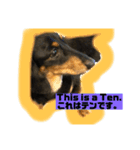 テンです、犬やらしてもらってます（個別スタンプ：2）