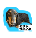 テンです、犬やらしてもらってます（個別スタンプ：7）